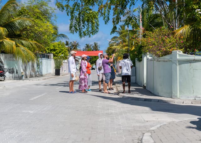 Local Island Discovery